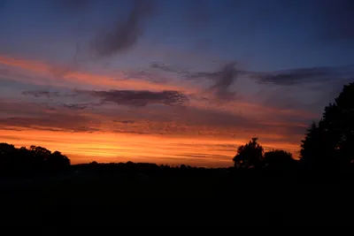 DSC_2184 (Large).JPG